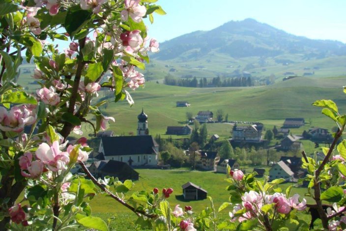 Sicht auf die Kirche Schwende im Frühling